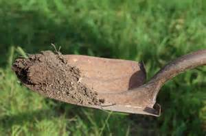 shovel-with-dirt